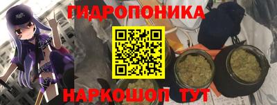 твердый Обь