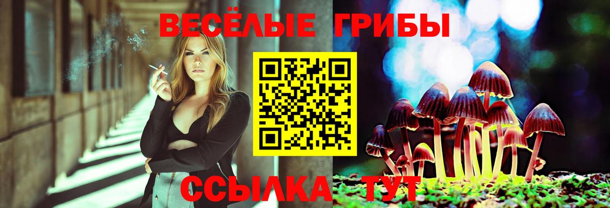 Славянск-на-Кубани  Галлюциногенные грибы прущие грибы  Вход с VPN 